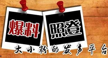 重庆最新爆料新闻,揭秘神秘事件背后的真相